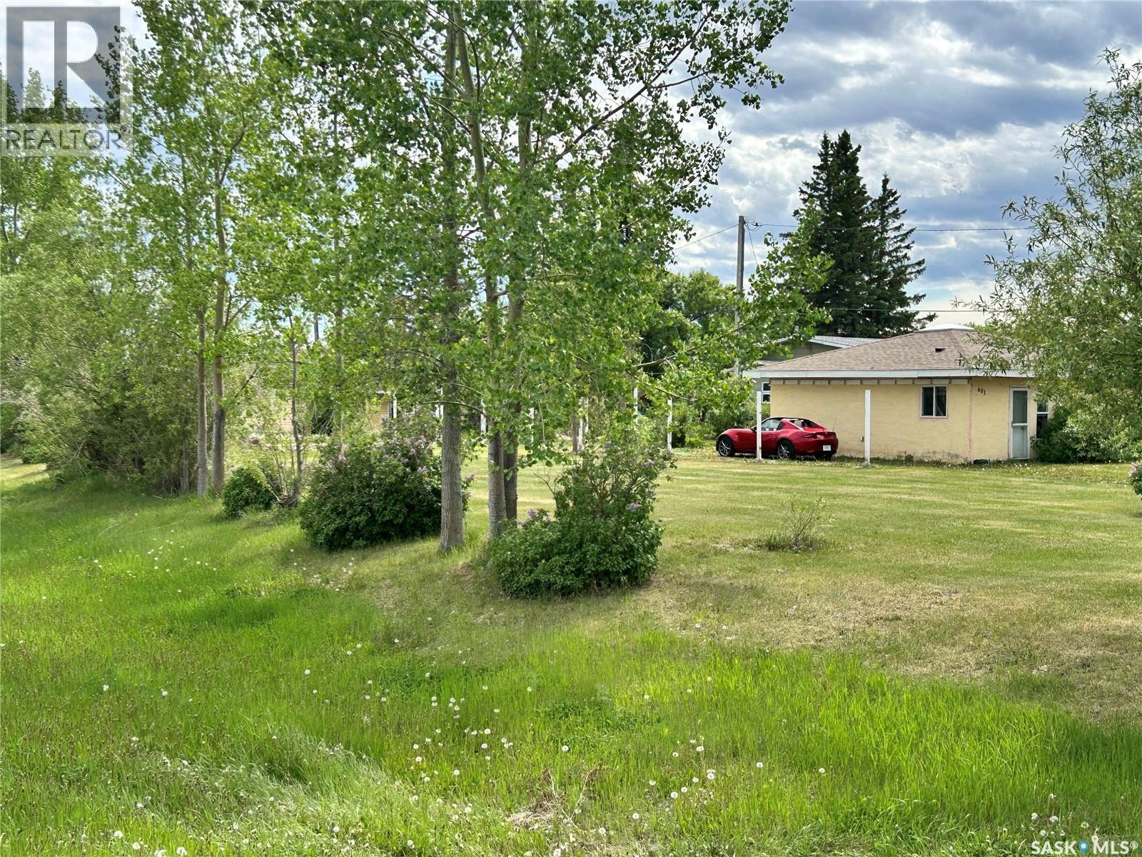601 Colborne Avenue, Viscount, SK