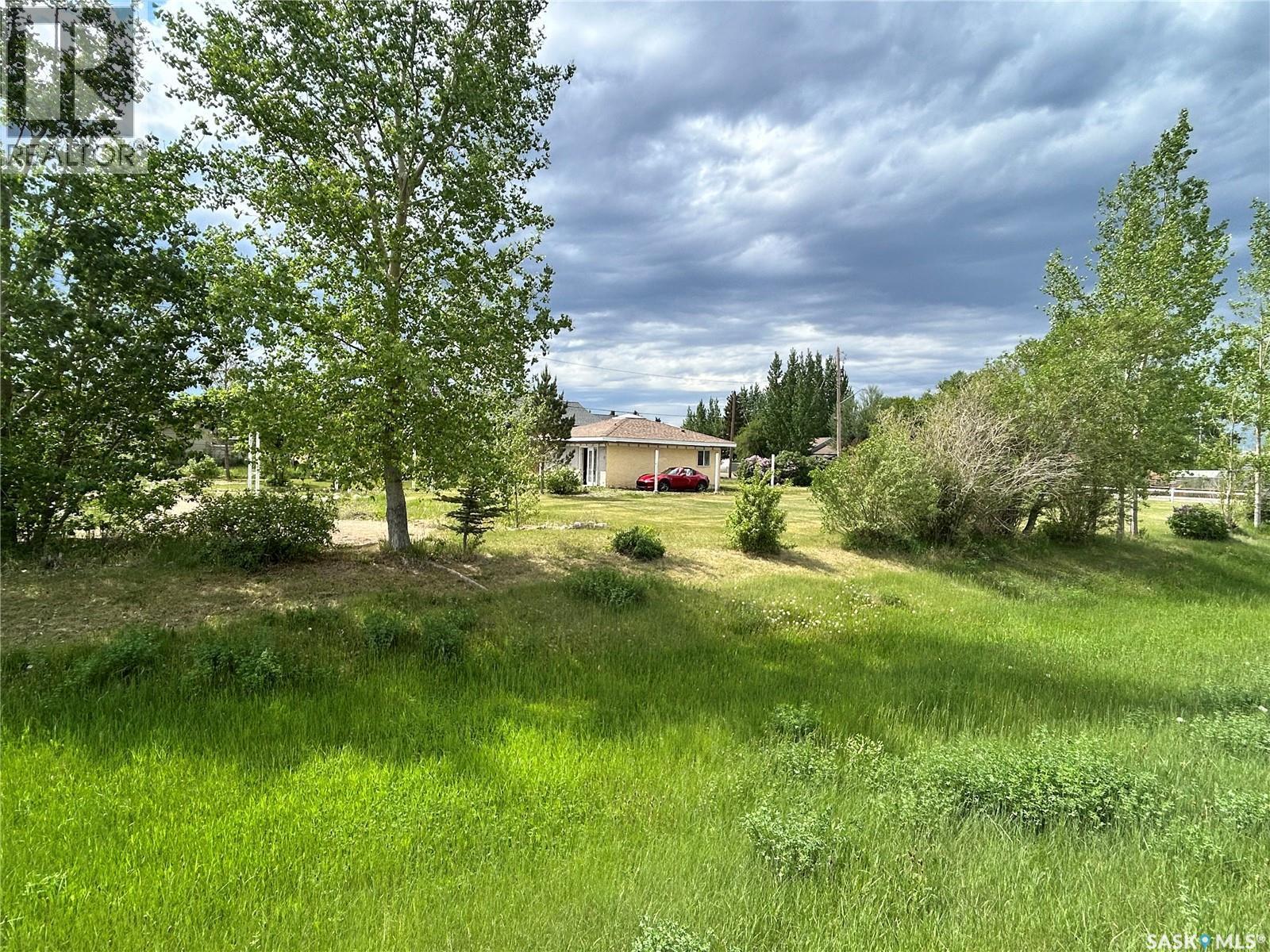 601 Colborne Avenue, Viscount, SK