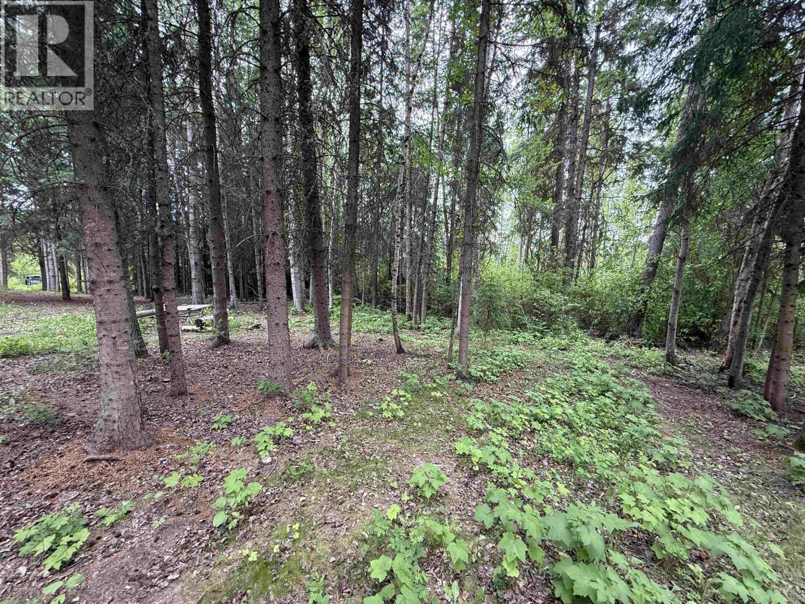 3416 Hayman Crescent, Quesnel, BC - Outdoor