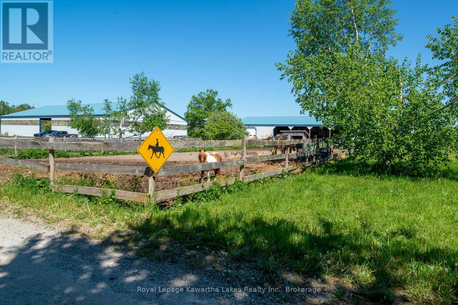 Driveway to the Barn - 2435 Elm Tree Road, Kawartha Lakes (Fenelon), ON