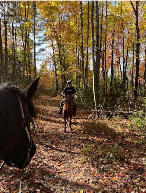 Wonderful Trails - 2435 Elm Tree Road, Kawartha Lakes (Fenelon), ON