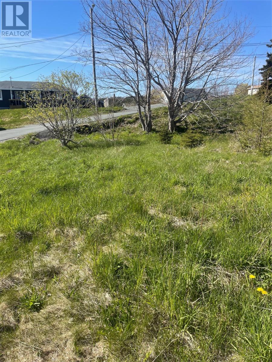 2 Moore'S Valley Road, Torbay, NL
