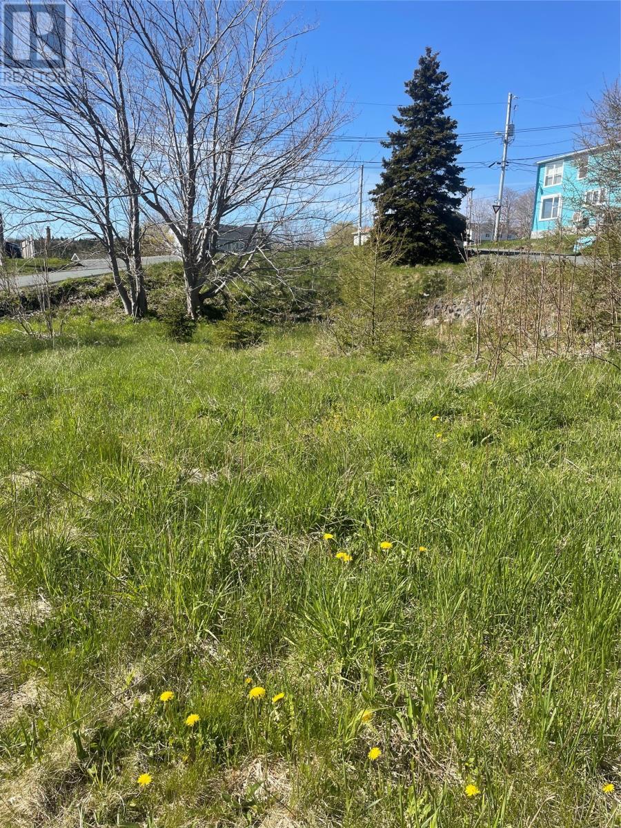 2 Moore'S Valley Road, Torbay, NL