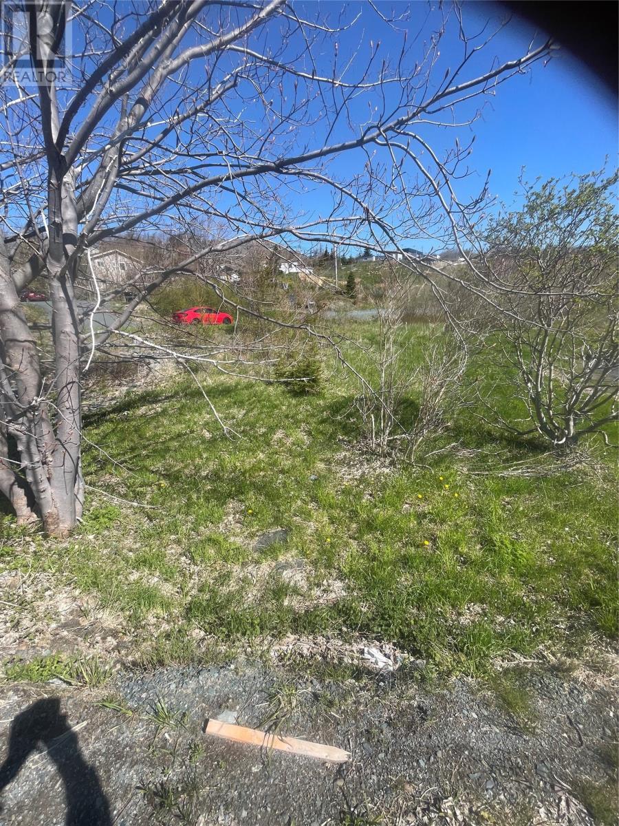 2 Moore'S Valley Road, Torbay, NL