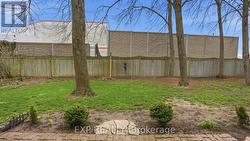 Backyard -