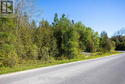 Right Lot -