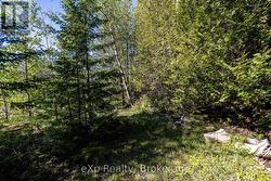 Right Lot -