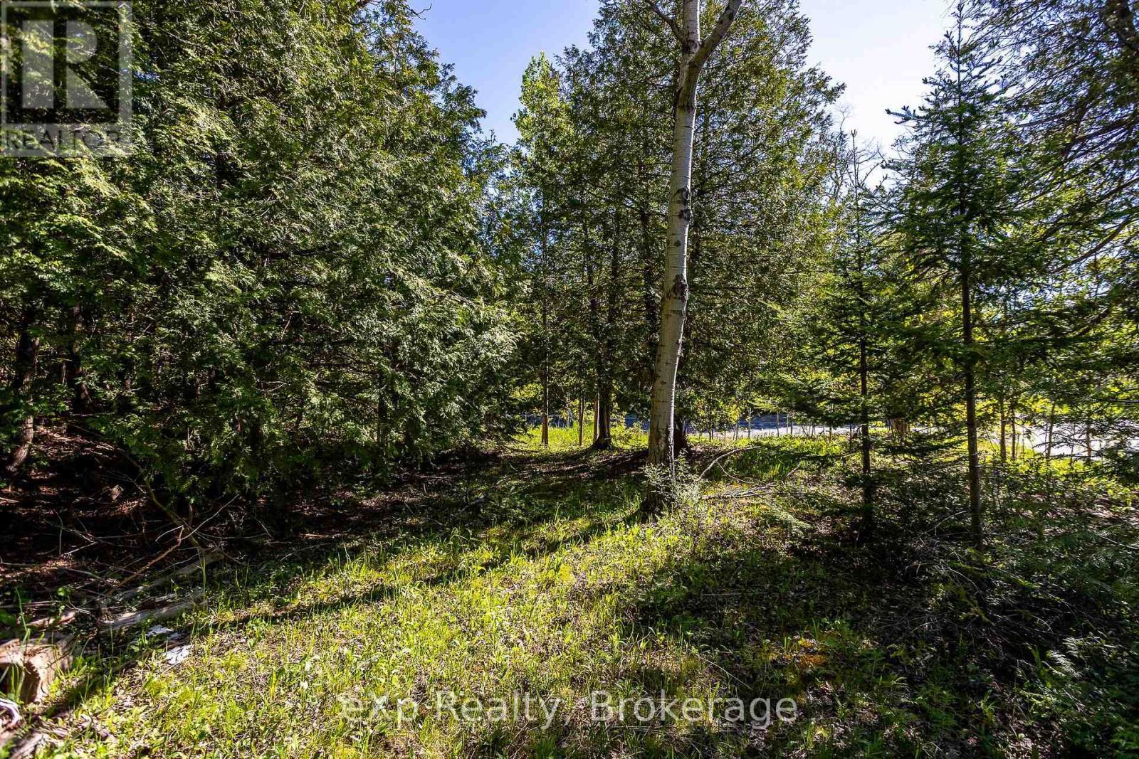 Right Lot - 205 East Road, Northern Bruce Peninsula, ON