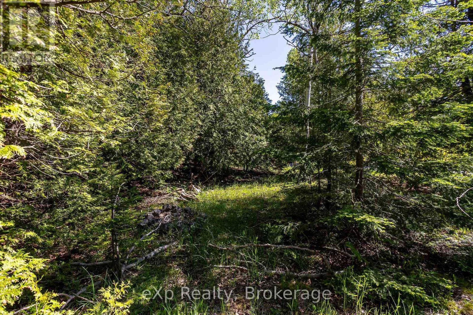 Right Lot - 205 East Road, Northern Bruce Peninsula, ON