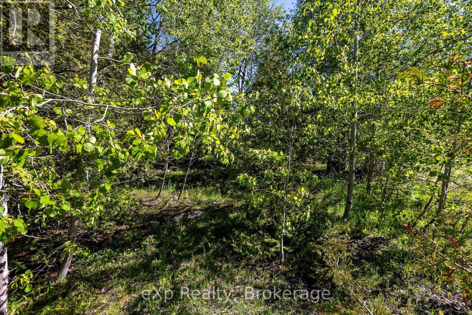 Right Lot - 205 East Road, Northern Bruce Peninsula, ON
