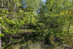 Right Lot -