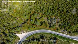 Left Lot -