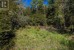 Left Lot -