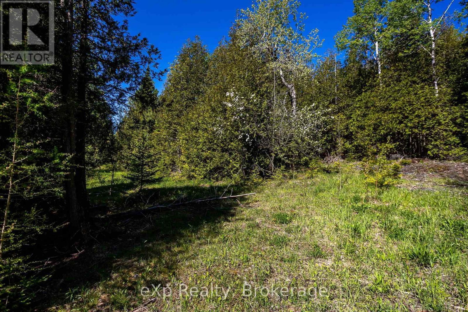 Left Lot - 205 East Road, Northern Bruce Peninsula, ON