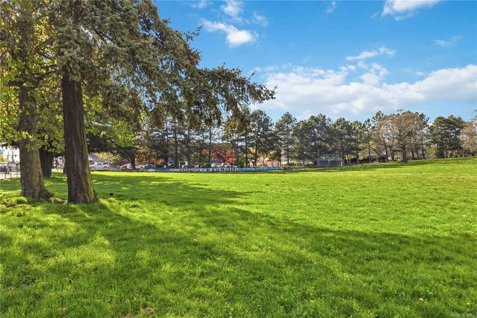 #302-904 Hillside Ave, Victoria, BC - Outdoor
