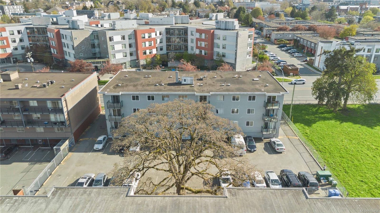 #302-904 Hillside Ave, Victoria, BC - Outdoor With View