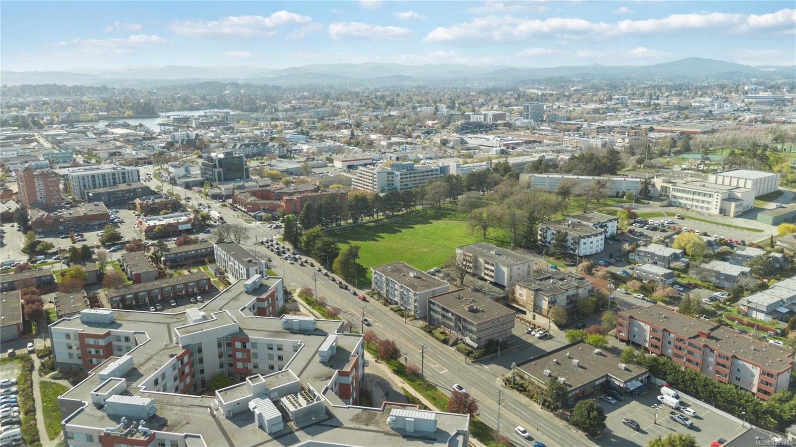 #302-904 Hillside Ave, Victoria, BC - Outdoor With View