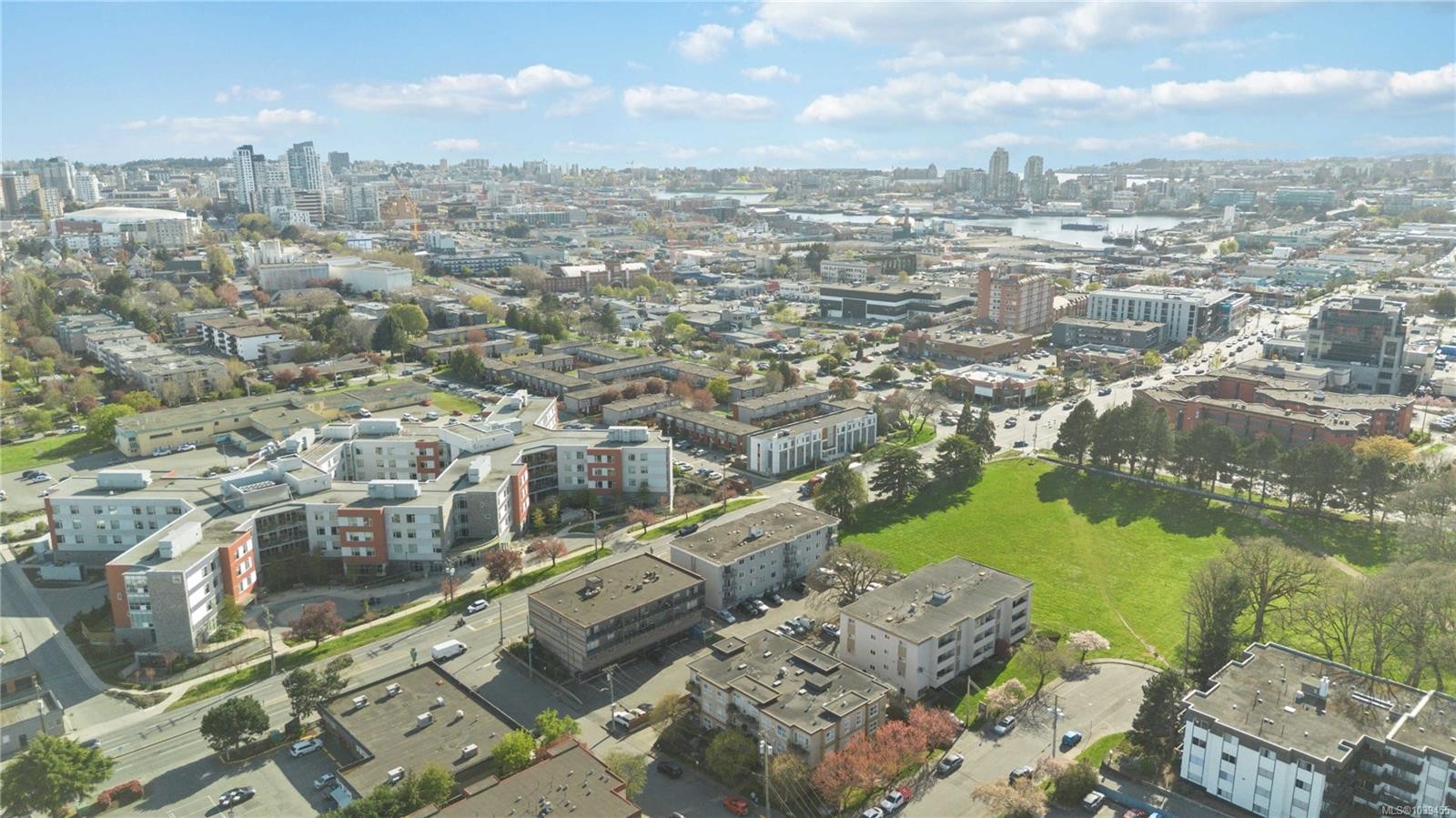 #302-904 Hillside Ave, Victoria, BC - Outdoor With View