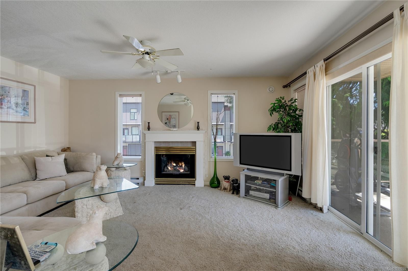 #207-245 First St, Duncan, BC - Indoor Photo Showing Living Room With Fireplace