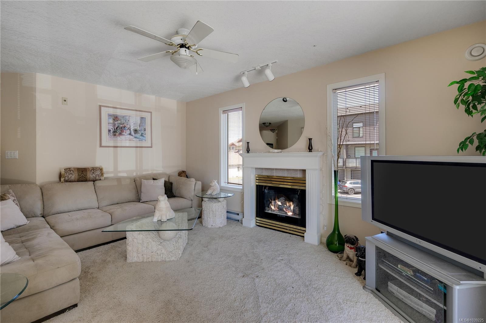 #207-245 First St, Duncan, BC - Indoor Photo Showing Living Room With Fireplace