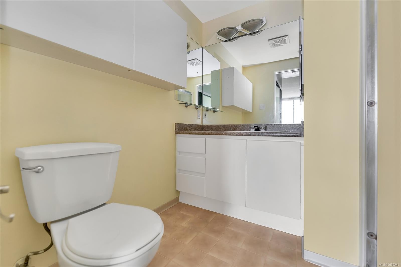 #1004-1020 View St, Victoria, BC - Indoor Photo Showing Bathroom