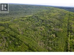 Near 206 Road Dawson Creek, BC V0C 2C0