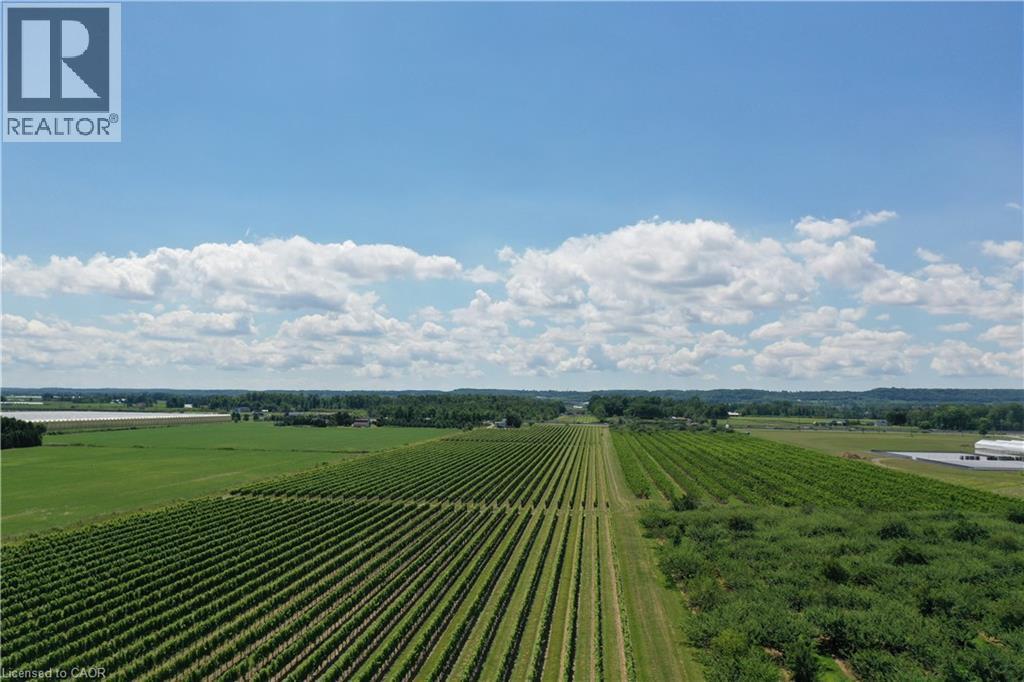 Expansive agricultural landscape featuring structured rows of crops, interspersed green fields, and distant treelines - 3705 Service Road N, Beamsville, ON
