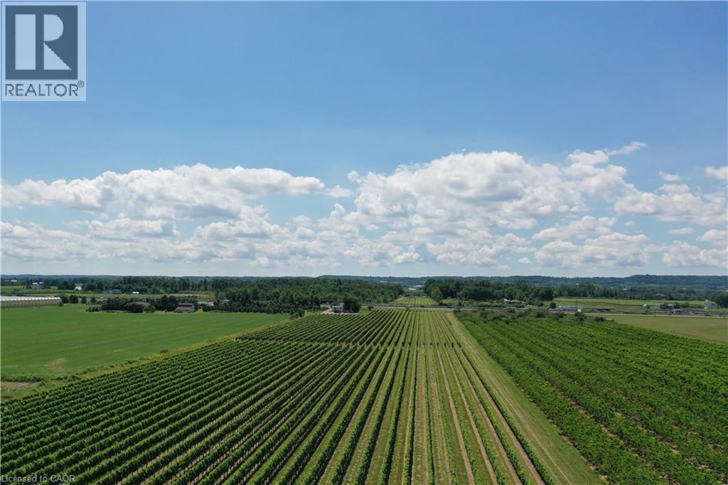 Expansive agricultural property featuring multiple rows of established crops - 3705 Service Road N, Beamsville, ON
