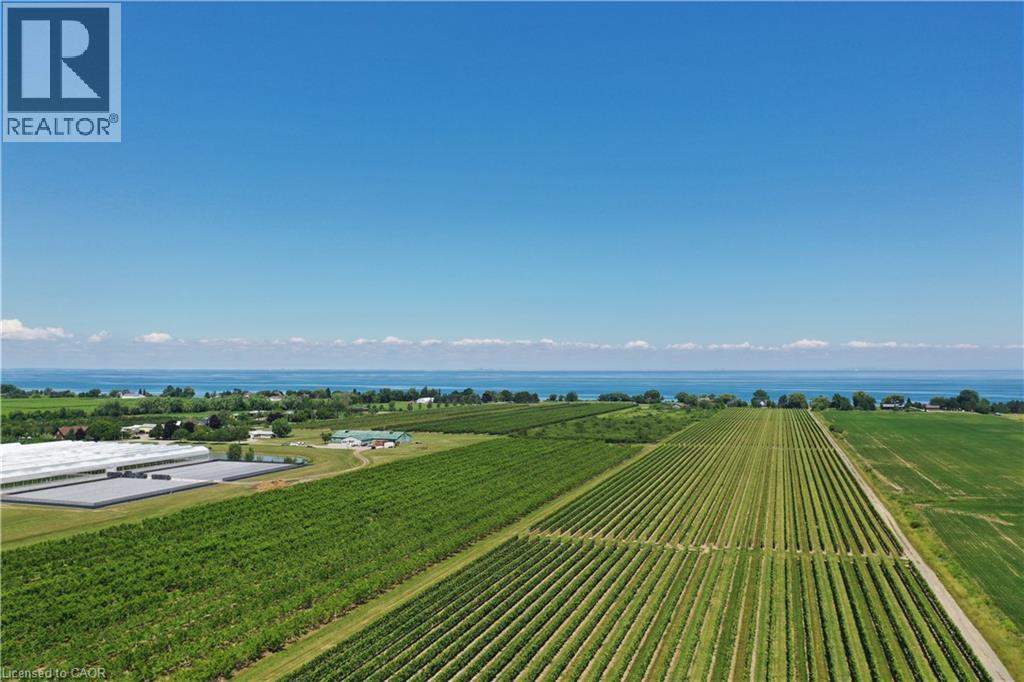 Expansive agricultural property featuring multiple rows of cultivated crops, a large water body in the background, and distant structures - 3705 Service Road N, Beamsville, ON