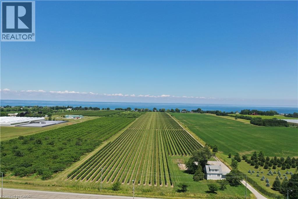 Expansive agricultural property featuring meticulously cultivated rows of crops, a structured white residential building, and mature trees - 3705 Service Road N, Beamsville, ON