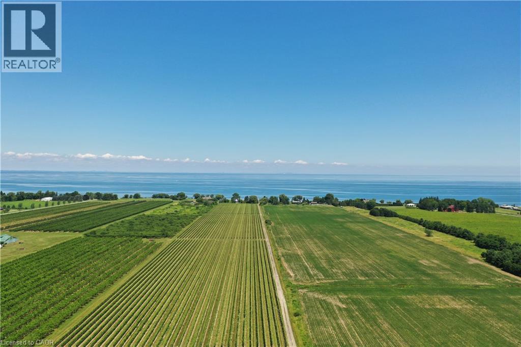 Expansive agricultural land featuring cultivated rows, open fields, and distant water frontage under a clear sky - 3705 Service Road N, Beamsville, ON