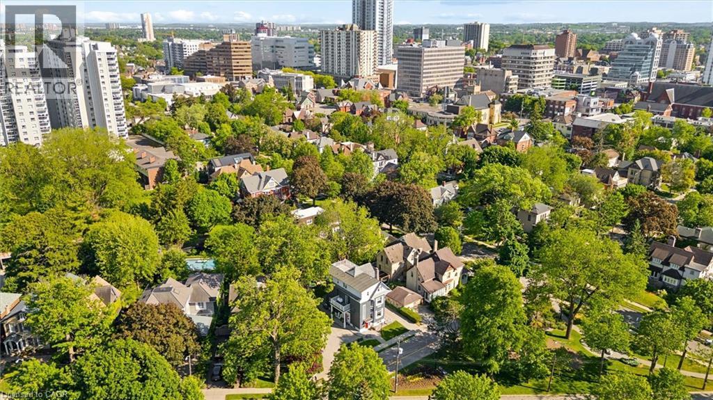 Aerial perspective showcasing a residential area with mature trees and a city skyline in the background - 149 Young Street, Kitchener, ON - Outdoor With View