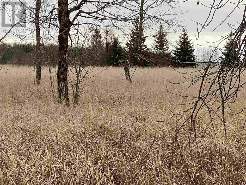 Lot 2 & 3 Con Nelson Dr, St. Joseph Island, ON