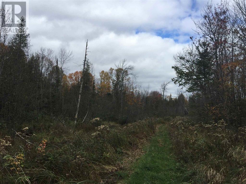 Lot 2 & 3 Con Nelson Dr, St. Joseph Island, ON