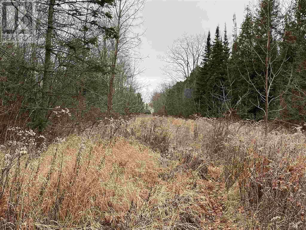 Lot 2 & 3 Con Nelson Dr, St. Joseph Island, ON