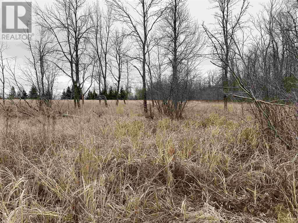 Lot 2 & 3 Con Nelson Dr, St. Joseph Island, ON