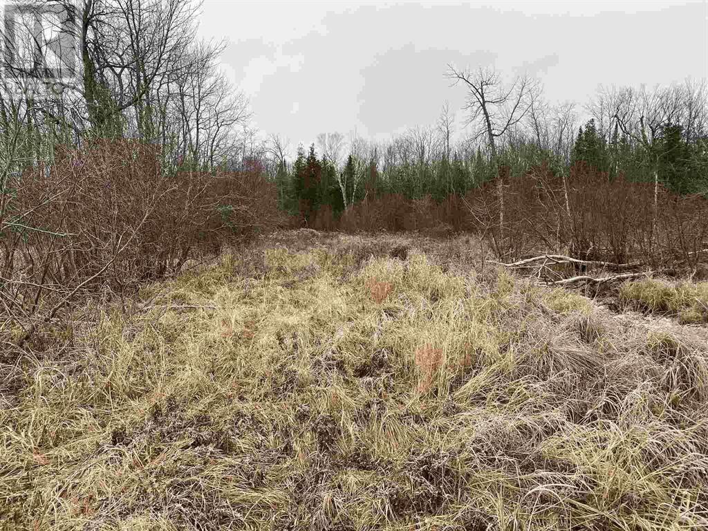 Lot 2 & 3 Con Nelson Dr, St. Joseph Island, ON