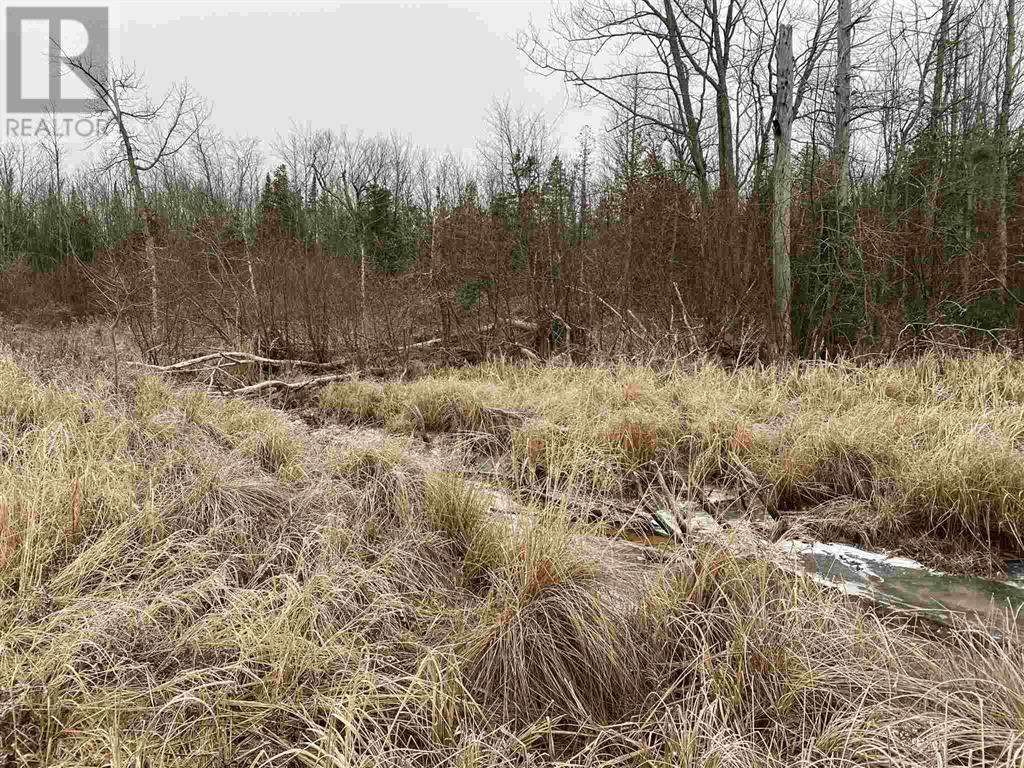 Lot 2 & 3 Con Nelson Dr, St. Joseph Island, ON