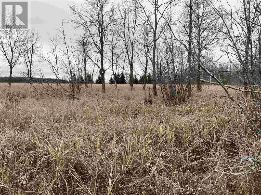 Lot 2 & 3 Con Nelson Dr, St. Joseph Island, ON