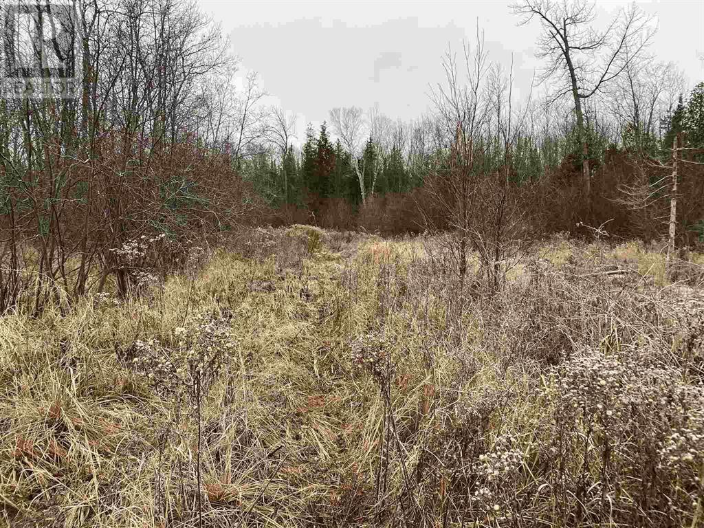 Lot 2 & 3 Con Nelson Dr, St. Joseph Island, ON