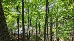 Rue Woodland Brownsburg-Chatham, QC J8G 1B7