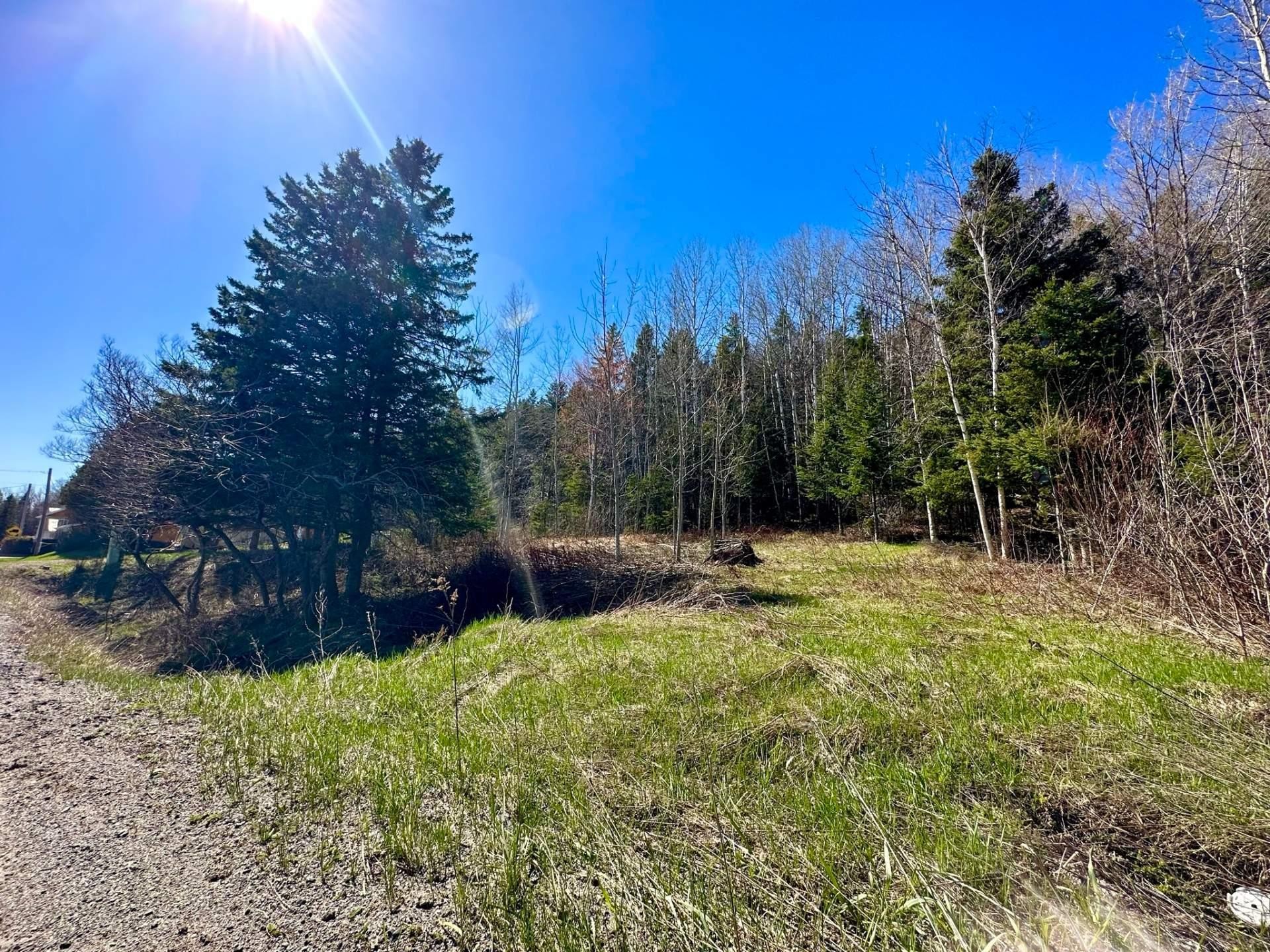 Terre/Terrain - Route 204, Saint-Aubert, QC