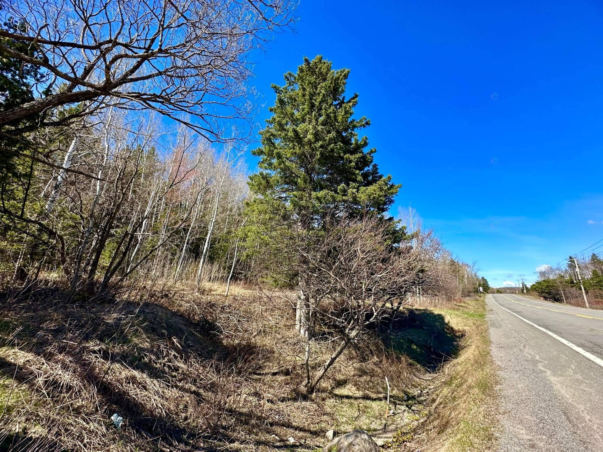 Terre/Terrain - Route 204, Saint-Aubert, QC