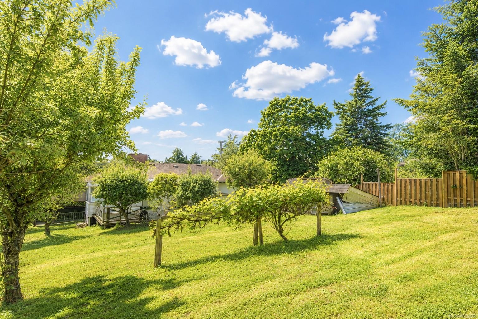 3803 Merriman Dr, Saanich, BC