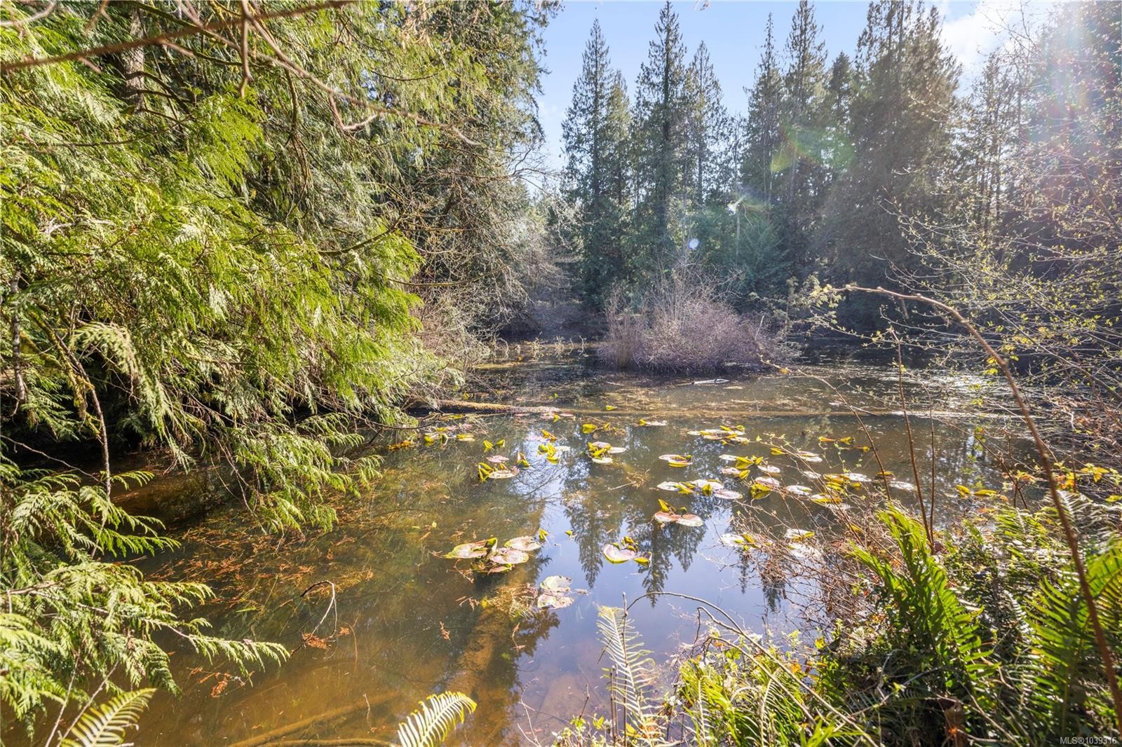 13475 Cedar Rd, Ladysmith, BC