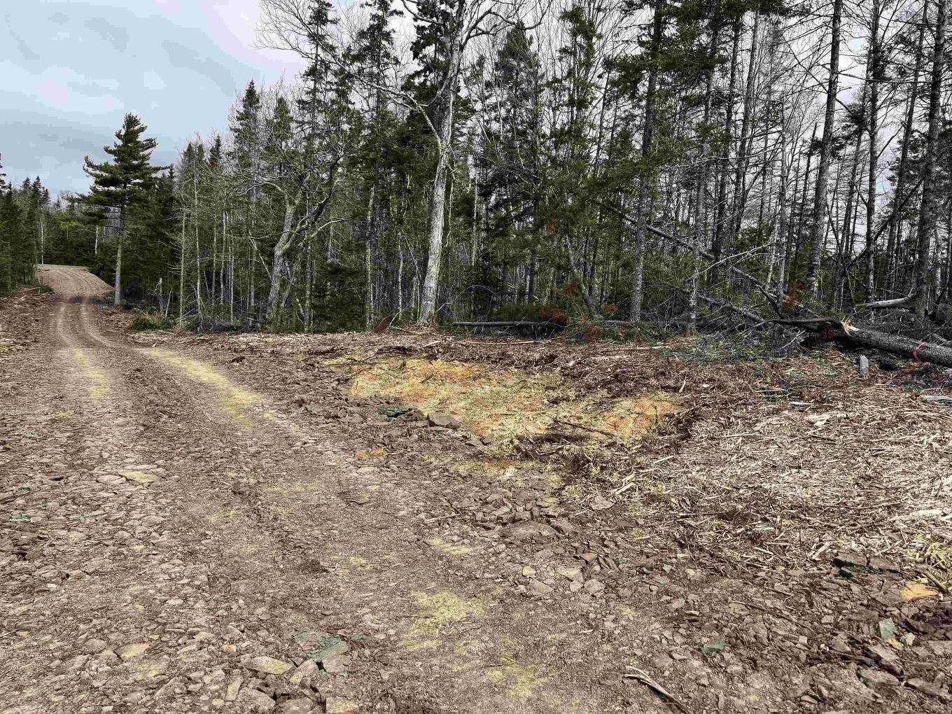 Hillside Rd Lot 3 Marion Bridge, Marion Bridge, NS