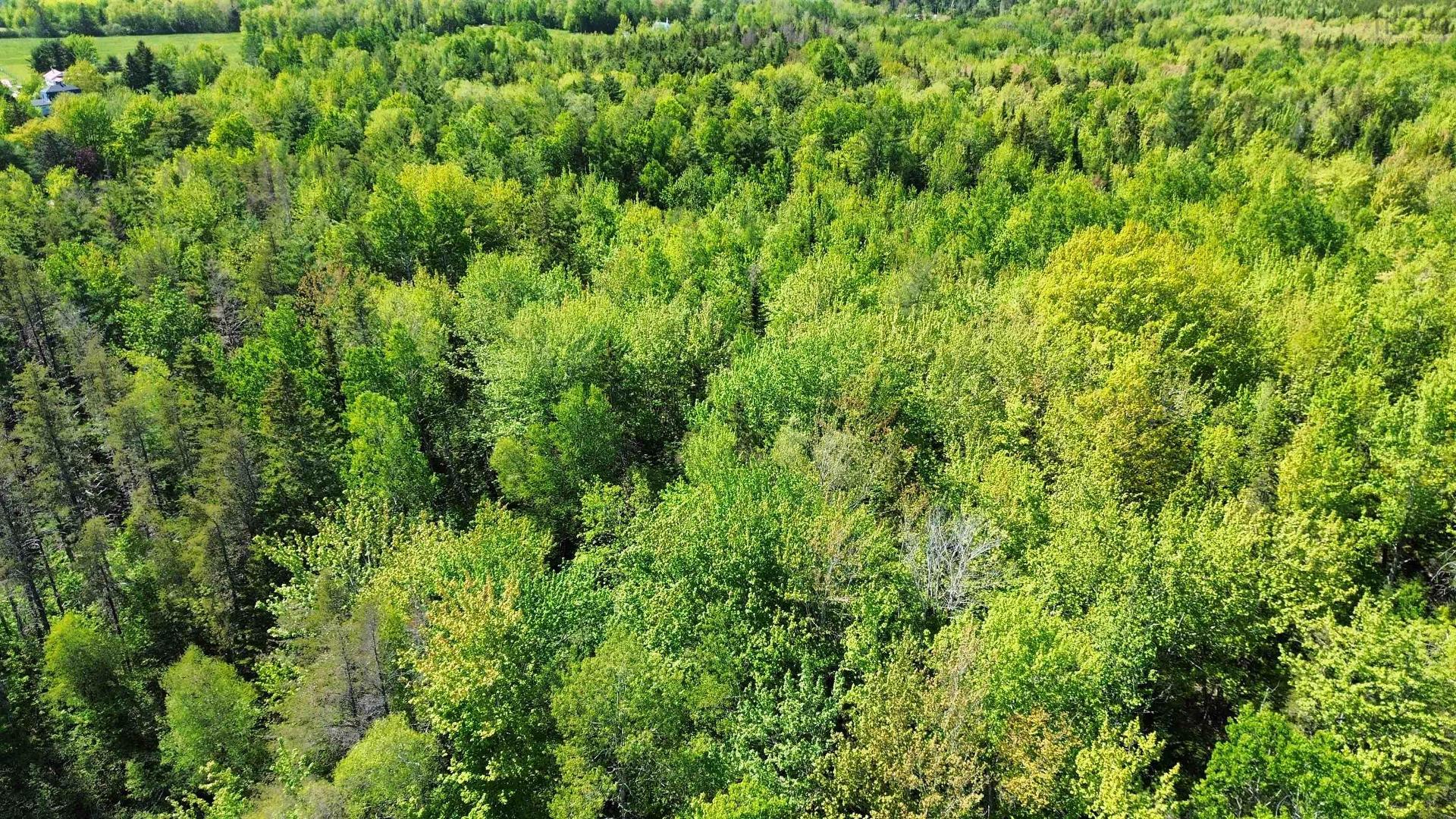 V/L 368 Highway, Wentworth, NS