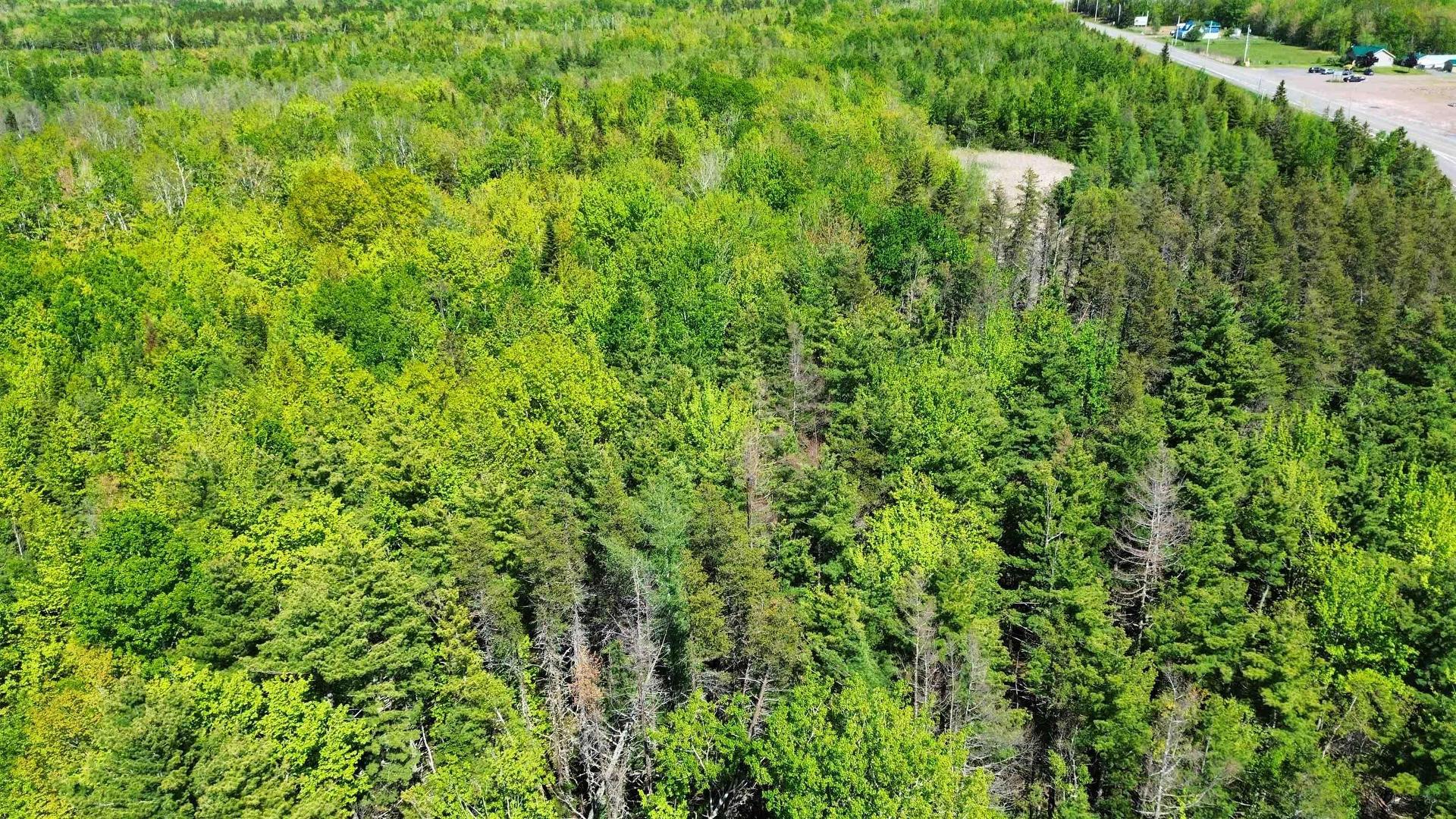 V/L 368 Highway, Wentworth, NS