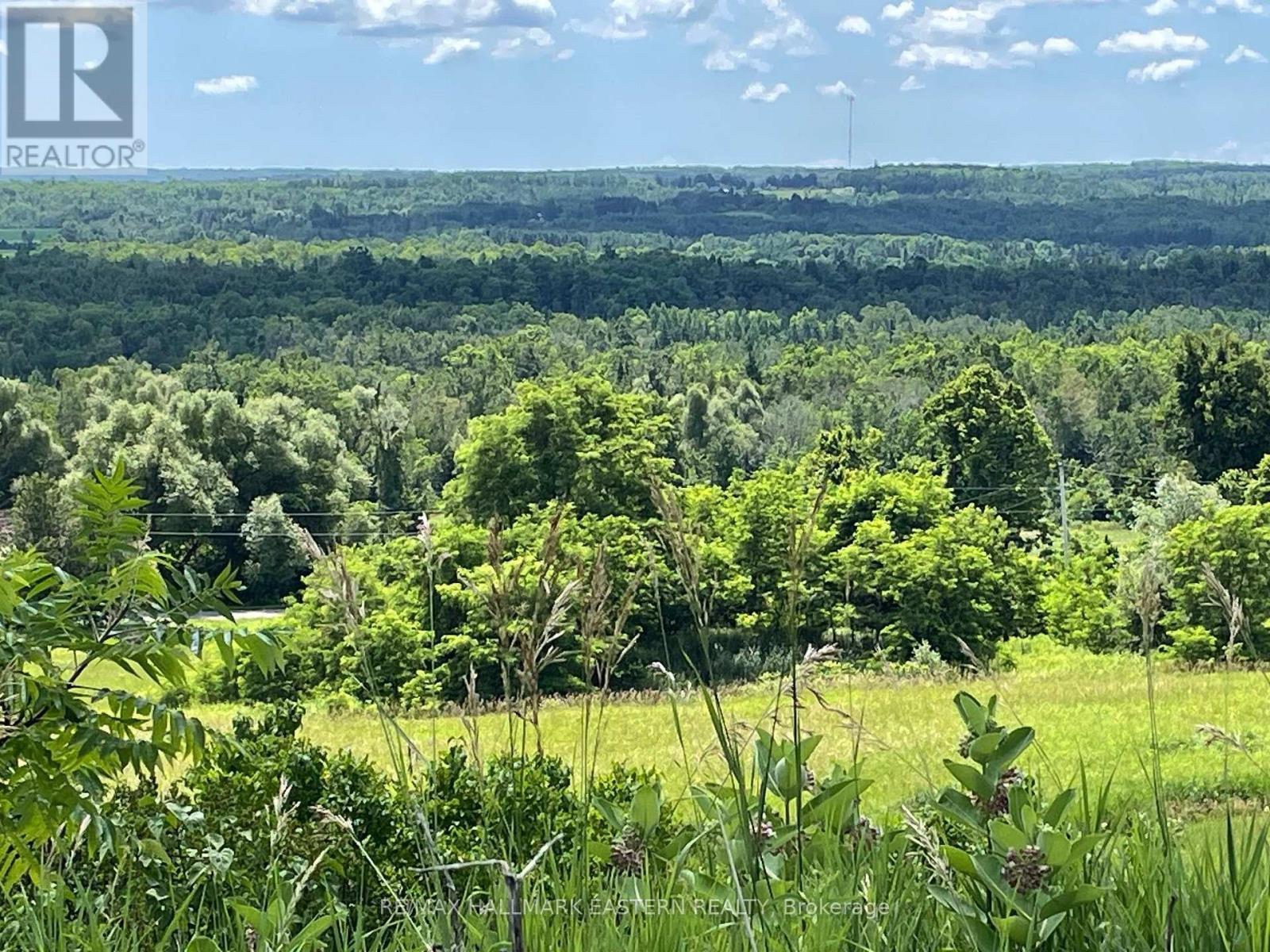 View from the front of the main house. - 794 Morton Line, Cavan Monaghan (Cavan Twp), ON