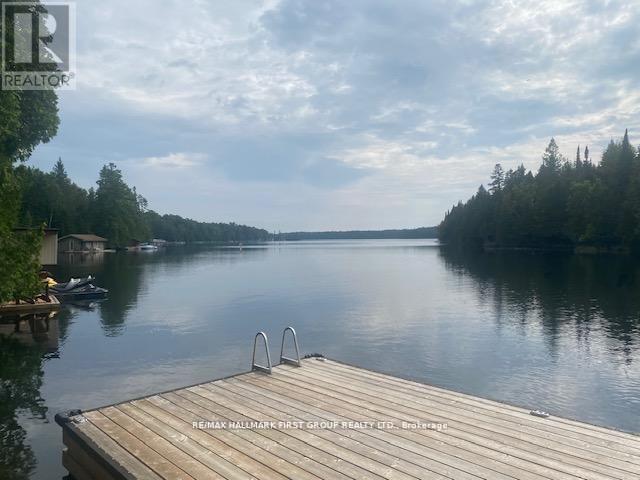 94 Everett Road, Kawartha Lakes, ON